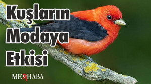 Kuşların Modaya Etkisi