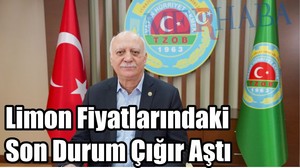 Limon Fiyatları Çığır Aştı