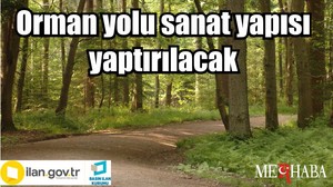 Orman yolu sanat yapısı yaptırılacak