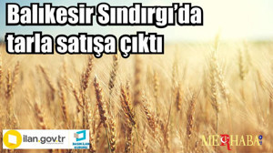 Balıkesir Sındırgı’da tarla satışa çıktı