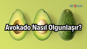 Avokado Nasıl Olgunlaşır?