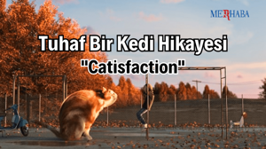 Tuhaf Bir Kedi Hikayesi