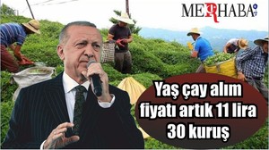 Son Dakika! Yaş çay alım fiyatı artık 11 lira 30 kuruş