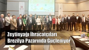 Zeytin ve Zeytinyağı Birezilya'da