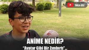Anime Nedir ?