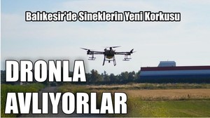 Balıkesir'de Sineklerin Yeni Korkusu