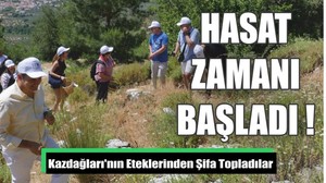 Kazdağları'nın Eteklerinden Şifa Topladılar