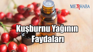 Kuşburnu Yağının Faydaları