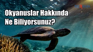 Okyanuslar Hakkında Ne Biliyorsunuz?