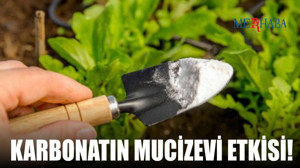 Bahçenizin Dostu: Karbonat