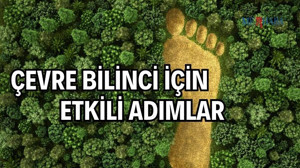 Çevreyi Korumada Etkili Adımlar