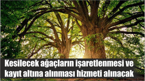 Kesilecek ağaçların işaretlenmesi ve kayıt altına alınması hizmeti alınacak