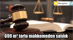 699 m² tarla mahkemeden satılık