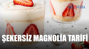 Şekersiz Çilekli Magnolia Tarifi