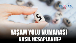 Yaşam Yolu Numarası Hesaplama