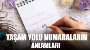 Yaşam Yolu Numaralarının Anlamları
