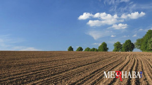 Konya Kulu'da 812m² Arsa Mahkemeden satılık