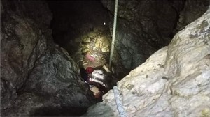 100 kiloluk dana uçurumdan düştü