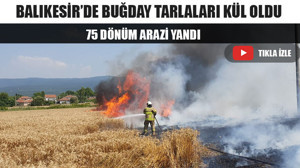 Balıkesir’de Buğday Tarlaları Kül Oldu