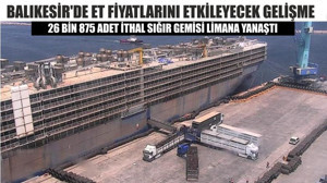 Balıkesir'de Et Fiyatlarını Etkileyecek Gelişme; 26 Bin 875 Adet İthal Sığır Gemisi Limana Yanaştı