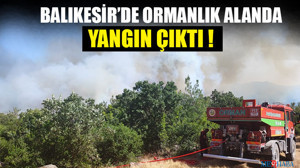 Balıkesir’de Ormanlık Alanda Yangın Çıktı
