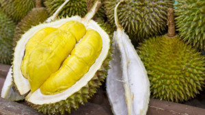 Bulunması Zor ve En Pahalı Yiyecekler