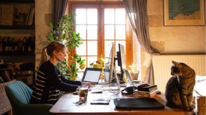 Evden Çalışmanın En Verimli 6 Yolu!