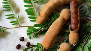 Karaciğeri Tamamen Temizliyor!