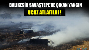 Savaştepe’de Çıkan Yangın Ucuz Atlatıldı