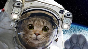 Uzaya Gönderilmiş İlginç Şeyler!