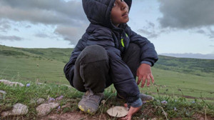 Türkiye’de Mantar Bereketi