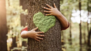 Ağaçların Büyülü Dünyası!