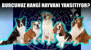Burcunuz Hangi Hayvanın Özelliklerini Yansıtıyor?