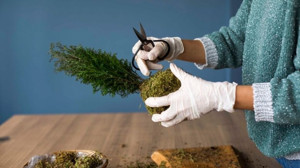 Kokedama Nedir, Nasıl Yapılır?