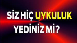 Uykuluk Nedir ? Uykuluk Tarifi