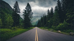Orman Yolu Sanat Yapısı Yaptırılacak