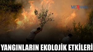 Yangınların Ekolojik Etkileri