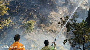 Burhaniye’deki Yangına Havadan Karadan Müdahale