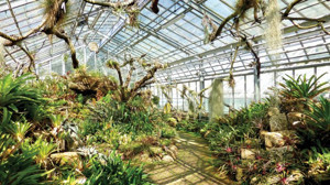 Bitkilerin Gizli Dünyası