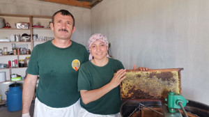 Balıkesir Bal Hasadında Rekora Koşuyor