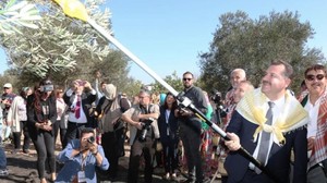 Balıkesir'de 18.Uluslararası Zeytin Hasat Festivali Başlıyor