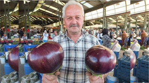 Karpuz Büyüklüğündeki Kiloluk Patlıcanlar Pazarın İlgi Odağı