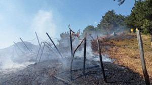 Kazdağları'nda Korkutan Yangın