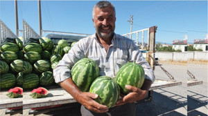 Kilogramı 8 Lira: Çiftçi Karpuza Sarılıyor