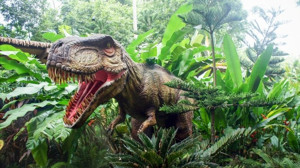 Geçmişin Büyülü Devleri!