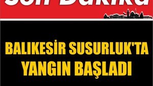 Son Dakika ! Balıkesir Susurluk'ta Yangın Başladı
