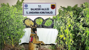 Balıkesir'de 10 İlçeye Eş Zamanlı Operasyon