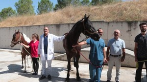 Balıkesir'de "Tüp Tay" Projesi Uygulamaya Geçti