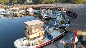 Bu Sene Tezgahları Dolduracak Balık Belli Oldu