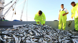 Saat 00.00'ı Gösterdi: Balıkçılar Oltayı Attı